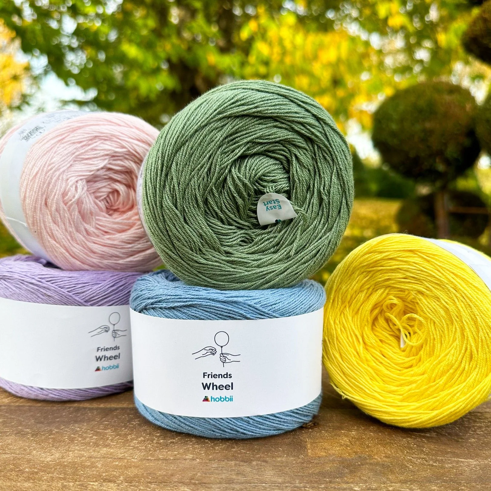 Friends Wheel - Image 4